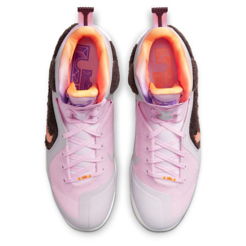 Nike LeBron IX